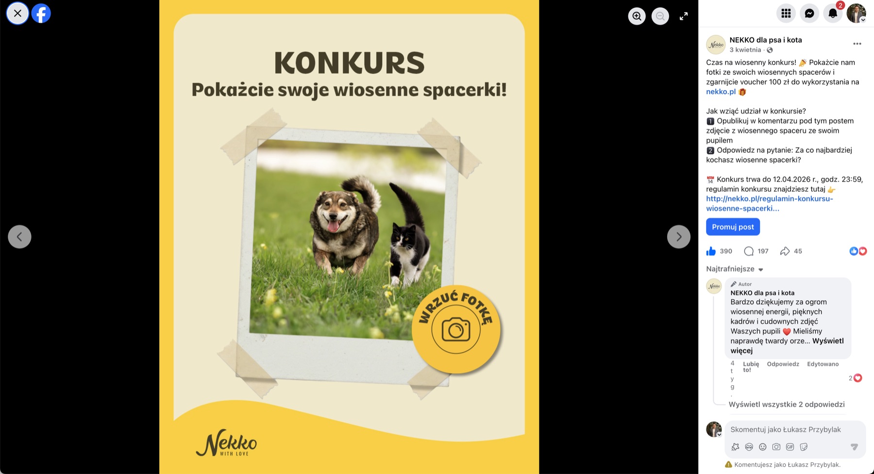 Post konkursu wiosenne spacerki Nekko — pokażcie fotki pupili